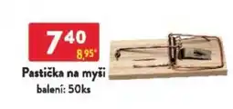 Qanto Pastička na myši nabídka