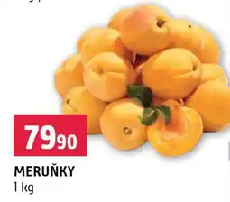 Terno Meruňky nabídka