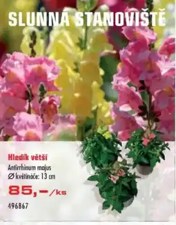 Uni Hobby Hledík větší nabídka