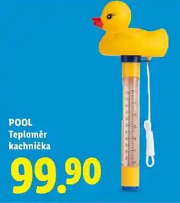Lidl POOL Teploměr kachnička nabídka
