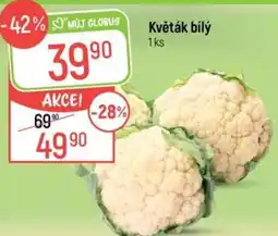 Globus Květák bílý nabídka