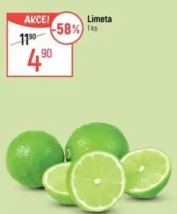 Globus Limeta nabídka