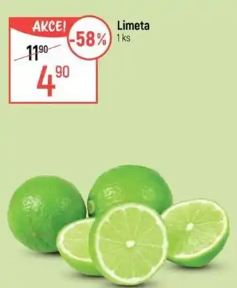 Globus Limeta nabídka