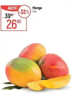 Globus Mango nabídka