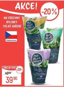 Globus Na všechny bylinky Velké vaření nabídka