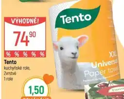 Globus Tento nabídka