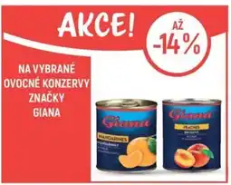 Globus Na vybrané ovocné konzervy značky Giana nabídka