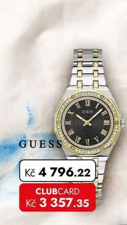 TRAVEL FREE GUESS nabídka