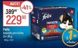 Globus Felix kapsičky pro kočky nabídka