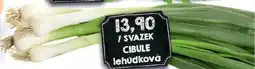 Jip Cibule nabídka