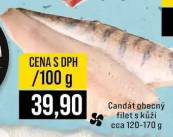 Candát obecný filet s kůží