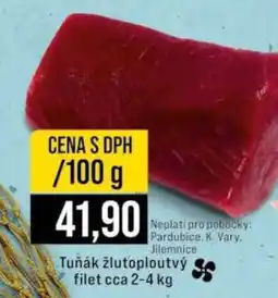 Jip Tuňák žlutoploutvý nabídka