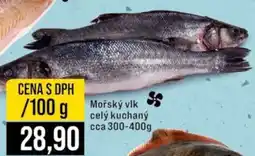 Jip Mořský vlk nabídka