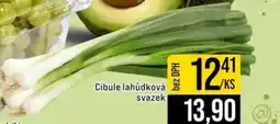 Jip Cibule lahůdková svazek nabídka