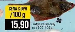 Jip Platýs velký celý nabídka