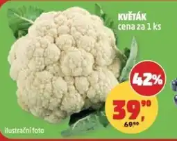 Penny Market Květák nabídka
