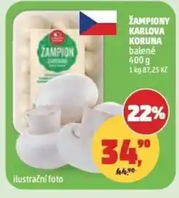 Penny Market Žampiony Karlova Koruna nabídka
