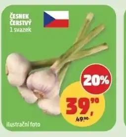 Penny Market Česnek čerstvý nabídka