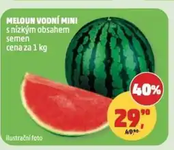 Penny Market Meloun vodní mini nabídka