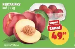 Penny Market Nektarinky nabídka