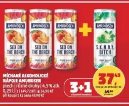 Penny Market Míchané alkoholické nápoje Amundsen nabídka