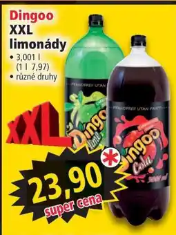 Norma Dingoo XXL limonády nabídka