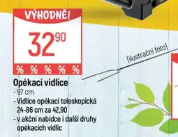 Globus Opékací vidlice nabídka