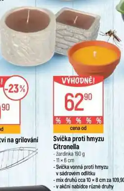 Globus Svíčka proti hmyzu Citronella nabídka