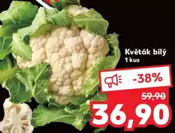 Kaufland Květák bílý nabídka