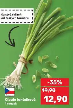 Kaufland Cibule lahůdková nabídka