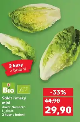 Kaufland Salát římský mini nabídka