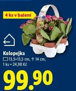 Lidl Kolopejka, 4 ks nabídka