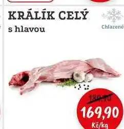 RABBIT řeznictví KRÁLÍK CELÝ s hlavou nabídka