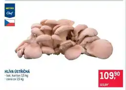Makro Hlíva ústřičná nabídka