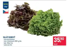 Makro SALÁT DUBOVÝ nabídka