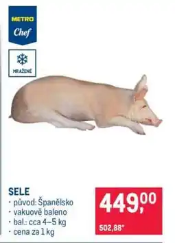 Makro Sele nabídka