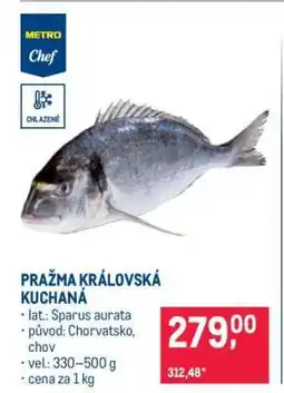 Makro Pražma královská kuchaná nabídka