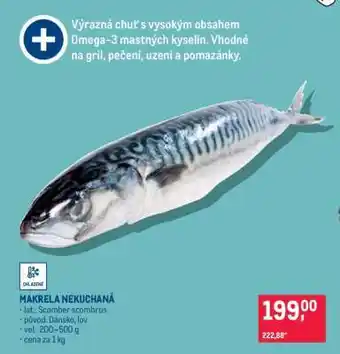 Makrela nekuchaná