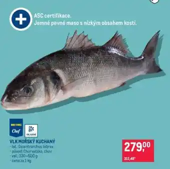 Makro Vlk mořský kuchaný nabídka