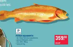 Makro PSTRUH AQUABONITA nabídka