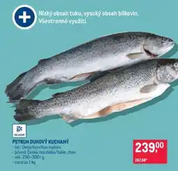 Makro Pstruh duhový kuchaný nabídka