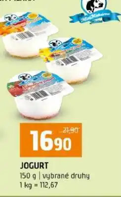 Terno Jogurt nabídka