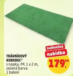 Penny Market Trávníkový koberec nabídka