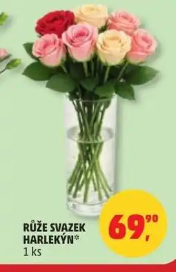 Penny Market Růže svazek harlekỳn nabídka