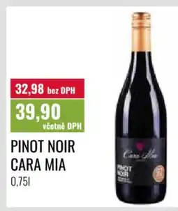 Ratio Pinot noir cara mia nabídka