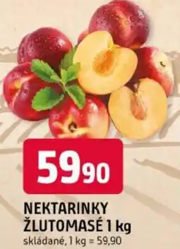 Trefa Nektarinky žlutomasė nabídka
