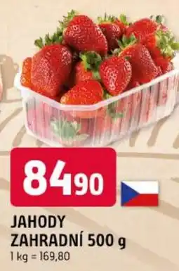 Trefa Jahody zahradní nabídka