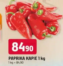 Trefa Paprika kapie nabídka