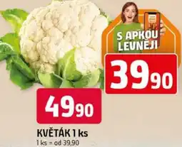 Trefa KVĚTÁK nabídka