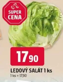 Trefa Ledový salát nabídka